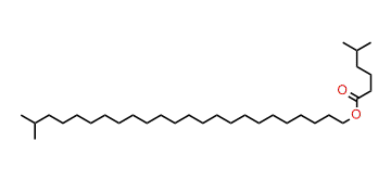 23-Methyltetracosyl 5-methylhexanoate